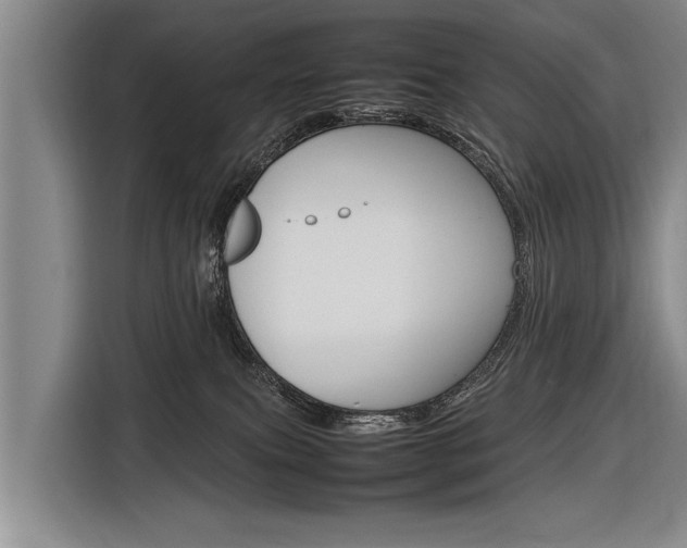 X0000116880087200912220953
