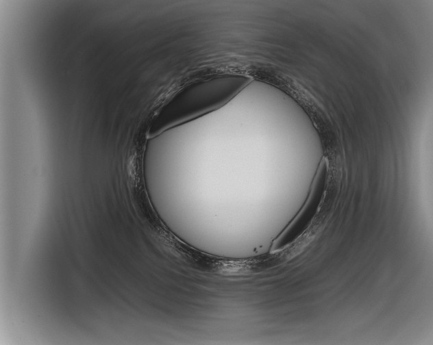 X0000116880088200912220953