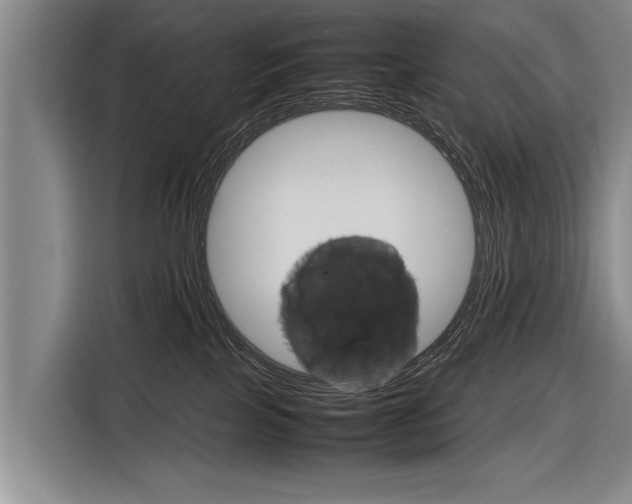 X0000116880089200912220953