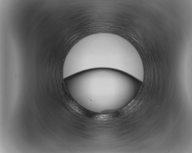 X0000116880092200912220953