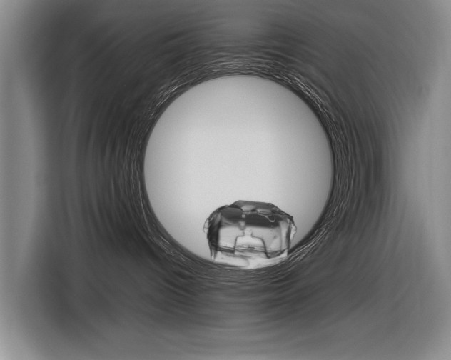 X0000116880096200912220953