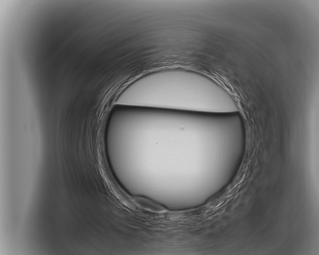 X0000116880097200912220952