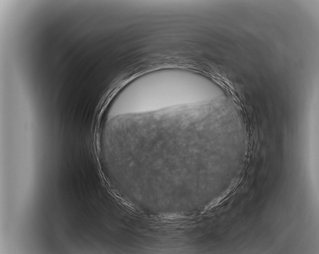 X0000116880098200912220952