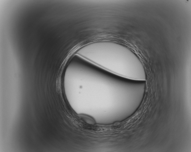 X0000116880099200912220952