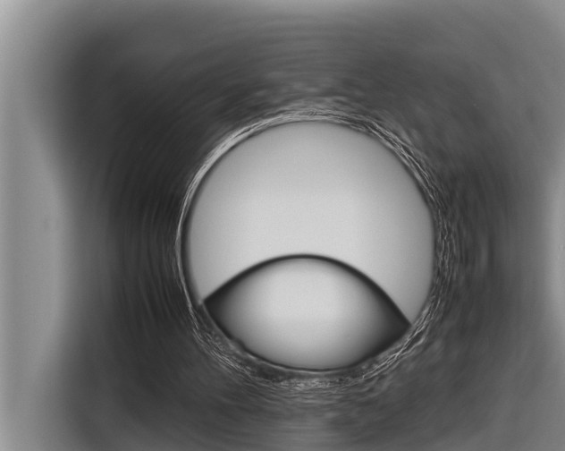X0000116880100200912220952