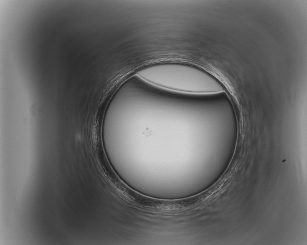 X0000116880105200912220952