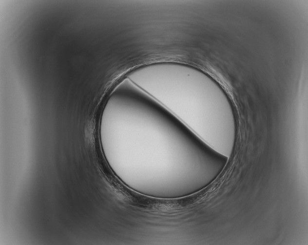 X0000116880107200912220952