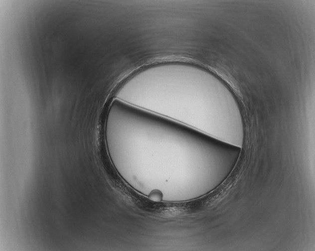X0000116880111200912220952