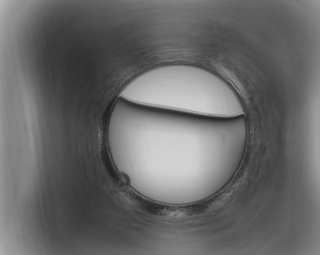 X0000116880113200912220952