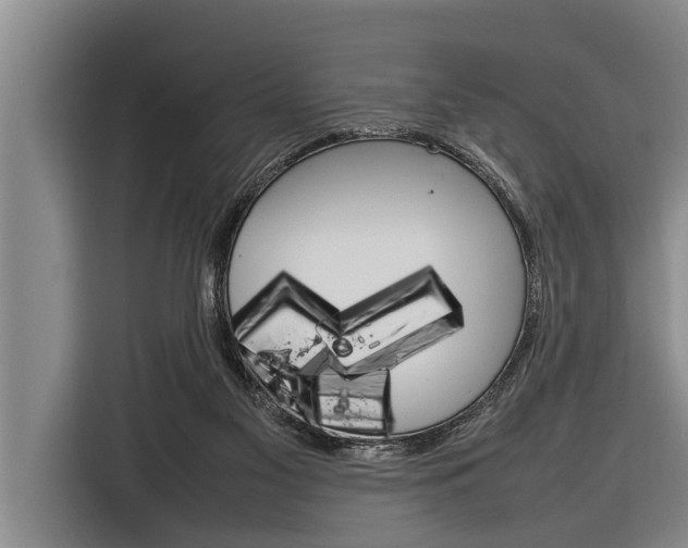 X0000116880117200912220952