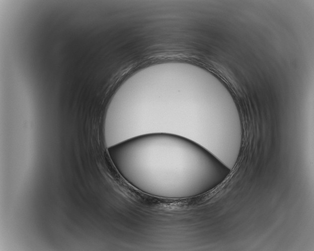 X0000116880120200912220952