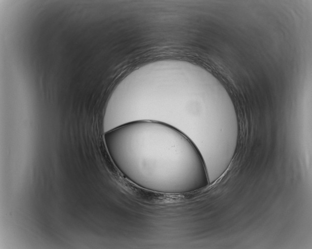 X0000116880128200912220952