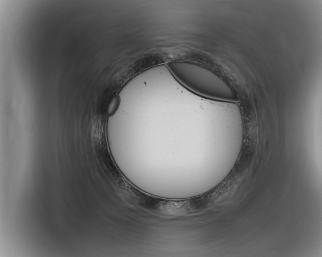 X0000116880129200912220952