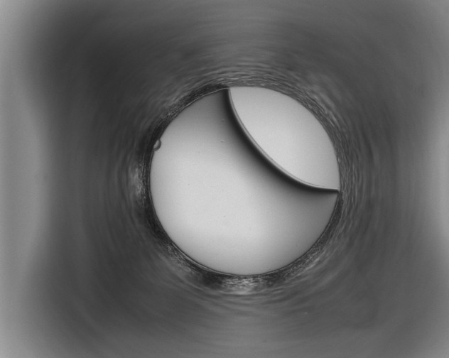 X0000116880131200912220952