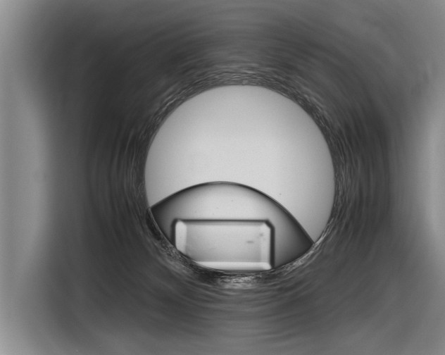 X0000116880132200912220952