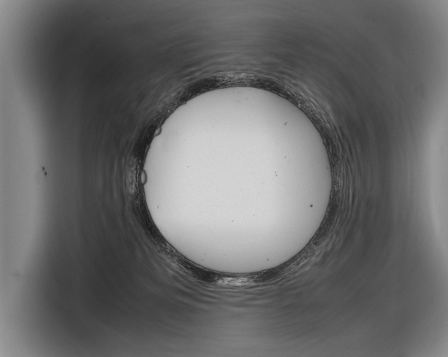 X0000116880133200912220952