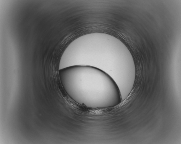 X0000116880140200912220952