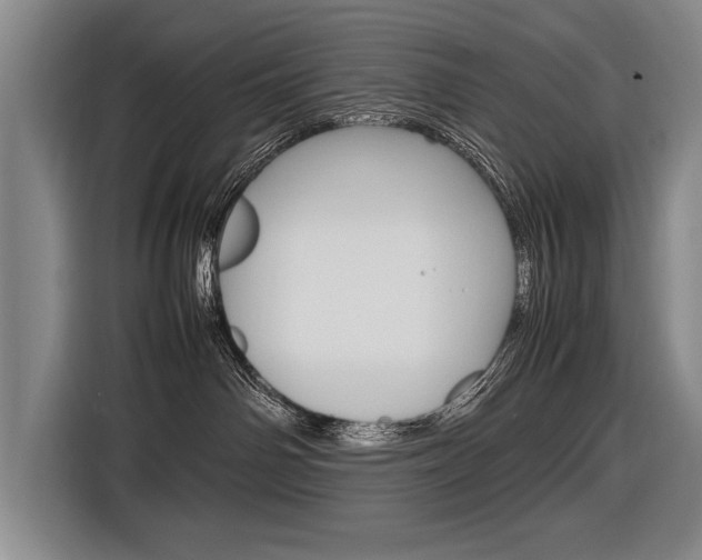 X0000116880142200912220952