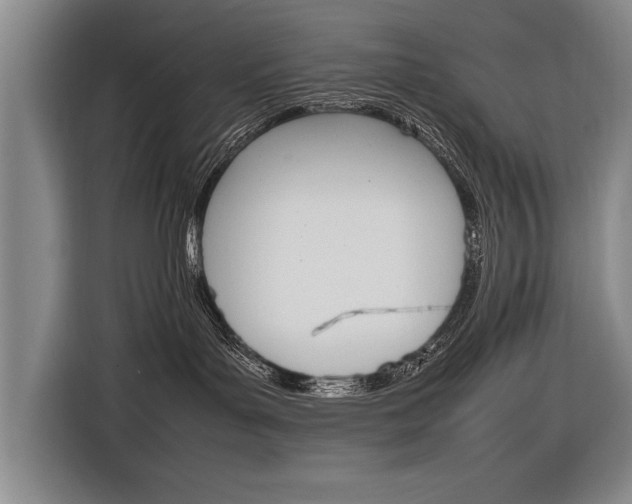 X0000116880143200912220952