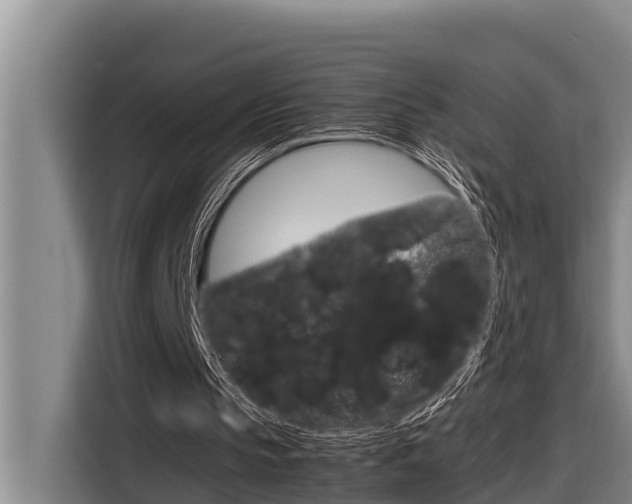 X0000116880145200912220951