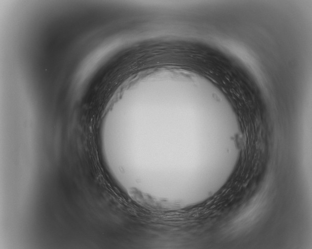 X0000116880146200912220951
