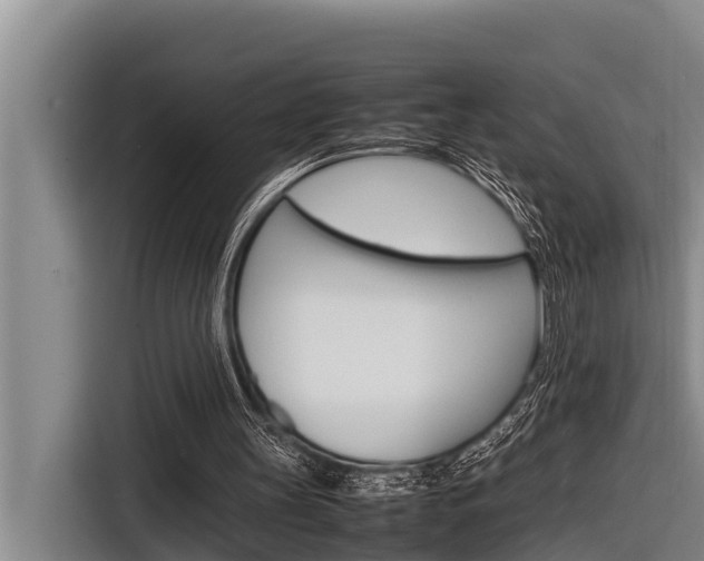 X0000116880147200912220951