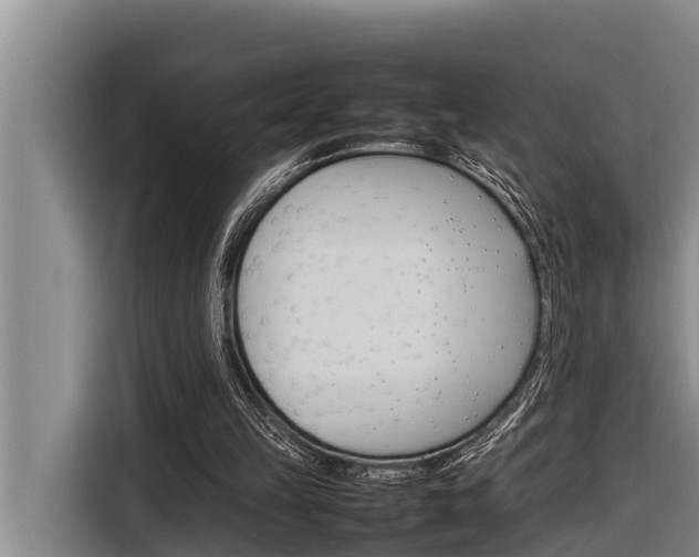 X0000116880149200912220951
