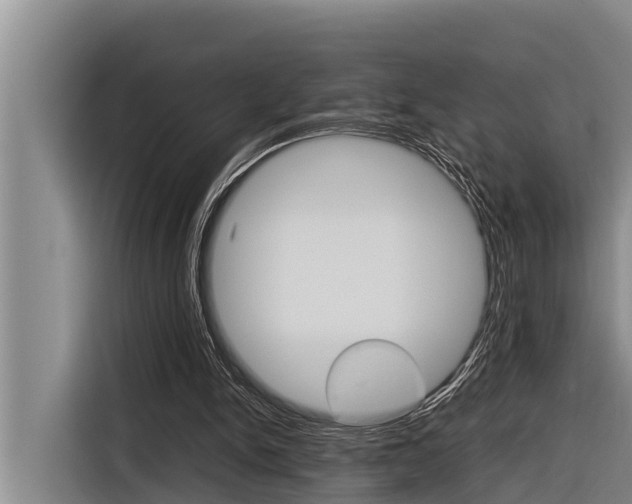 X0000116880150200912220951