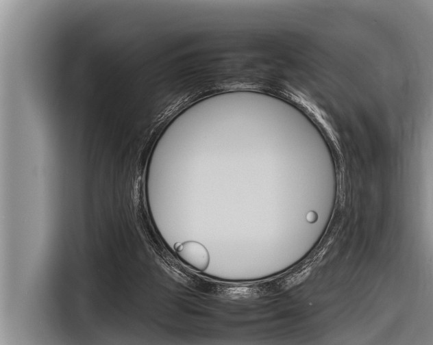 X0000116880153200912220951