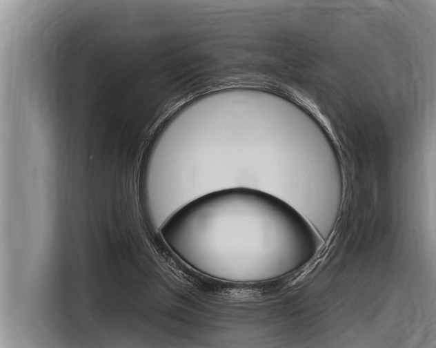 X0000116880154200912220951