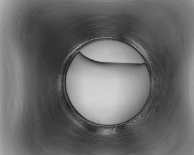 X0000116880155200912220951