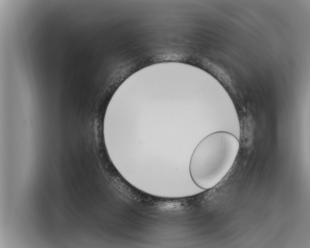 X0000116880162200912220951