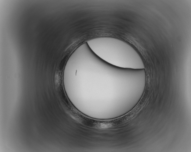 X0000116880165200912220951