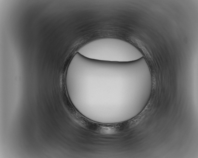 X0000116880167200912220951
