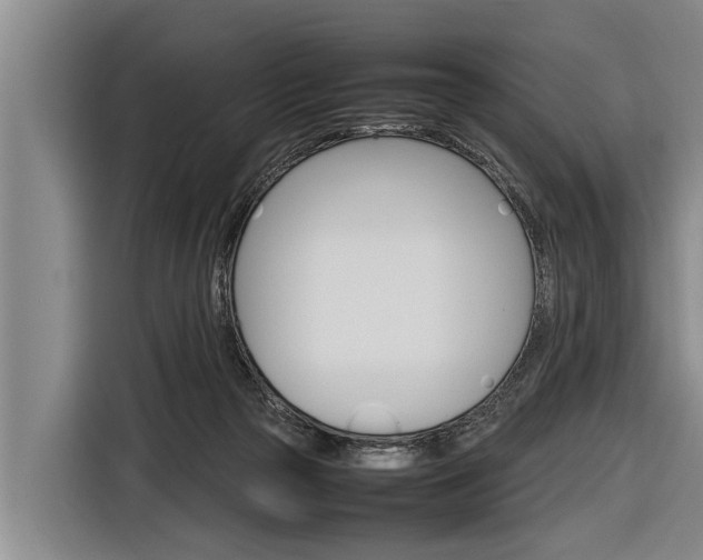 X0000116880169200912220951