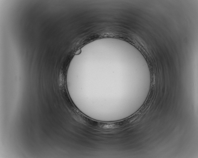 X0000116880173200912220951