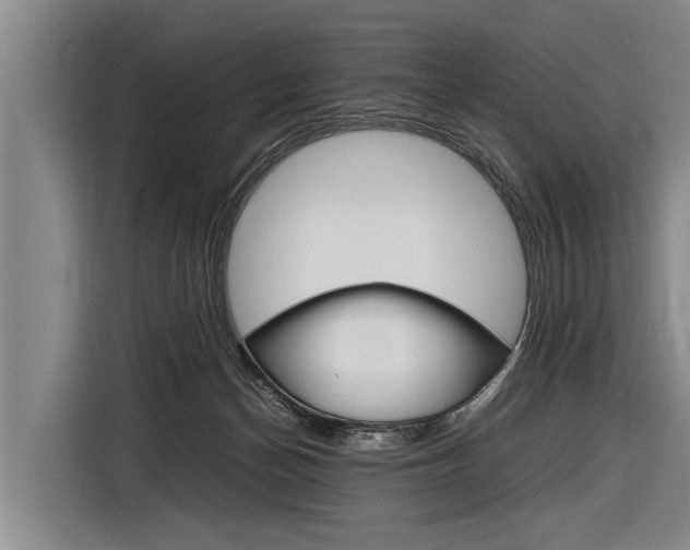X0000116880174200912220951