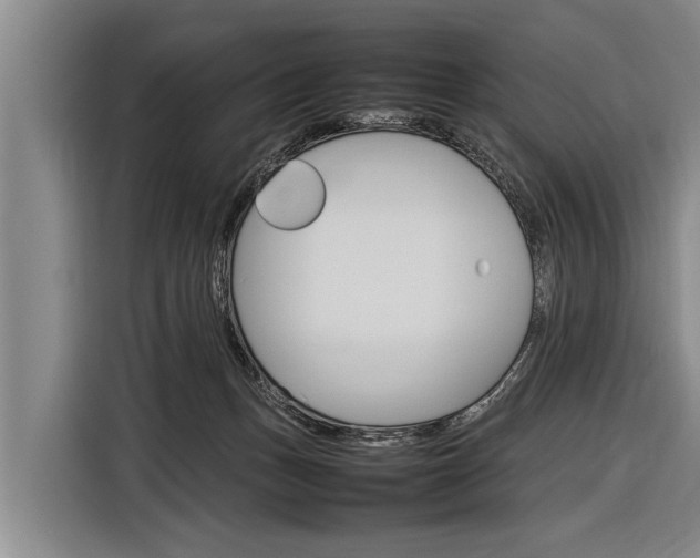 X0000116880175200912220951