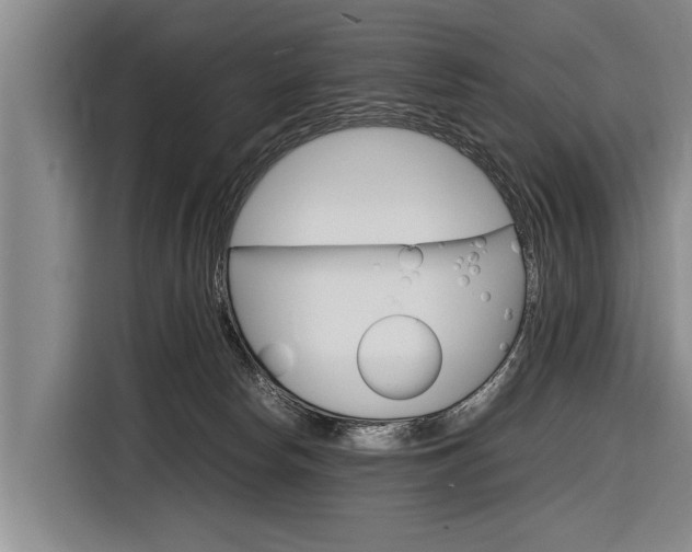 X0000116880178200912220951