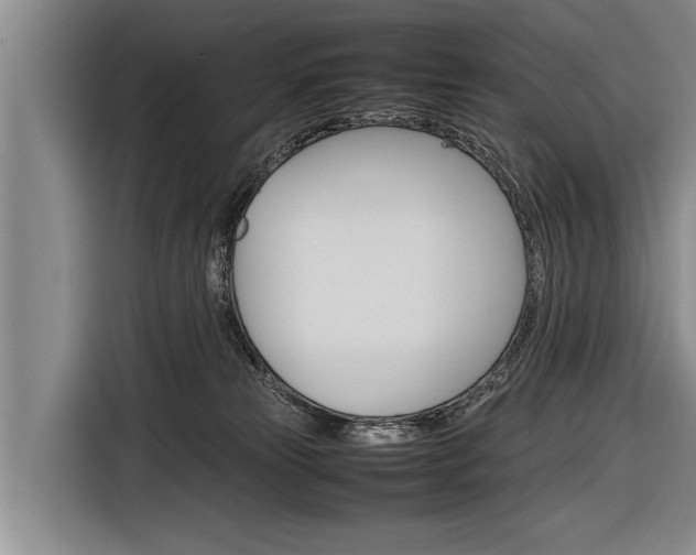 X0000116880181200912220952