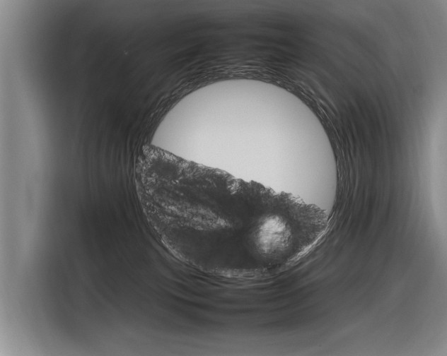 X0000116880183200912220952
