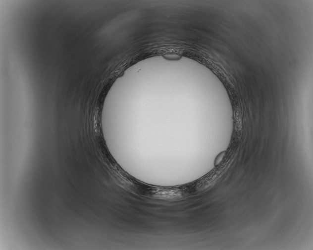 X0000116880185200912220952