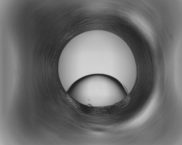 X0000116880190200912220952