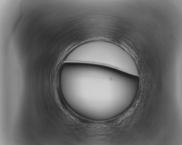 X0000116880193200912220951