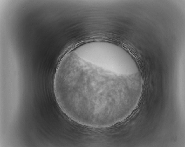 X0000116880194200912220951