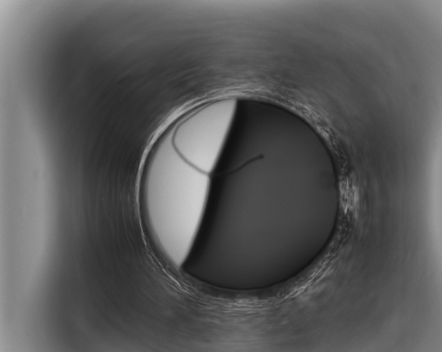 X0000116880196200912220951