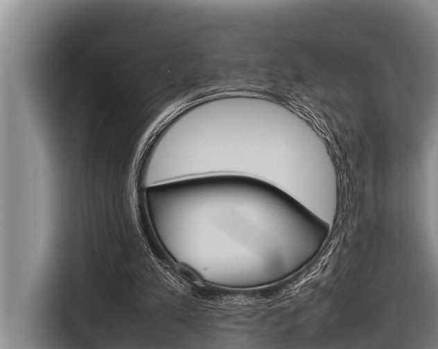 X0000116880197200912220951