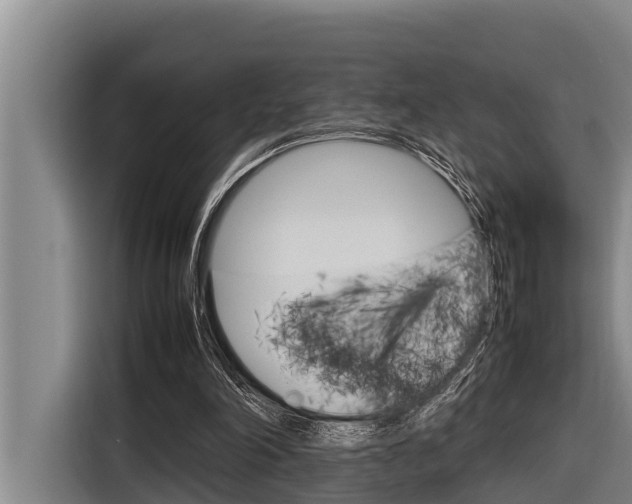 X0000116880198200912220951