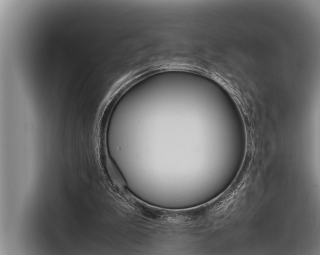 X0000116880199200912220951