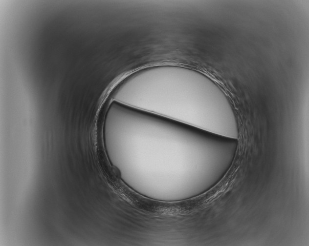 X0000116880200200912220951